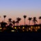 Patterson Pope - Fort Myers, FL