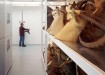 Static Shelving Wide Span Shelving Static Shelving Wide Span Shelving