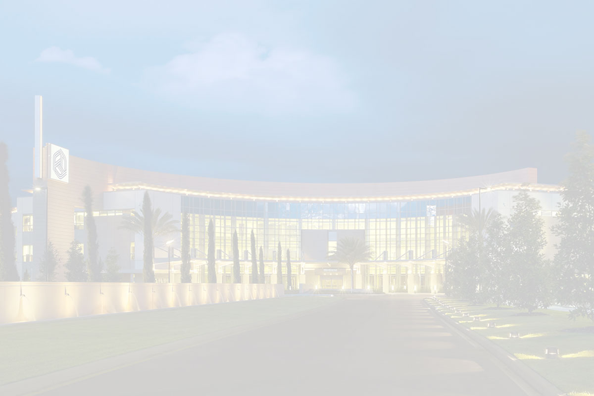 Wesley Chapel Hospital