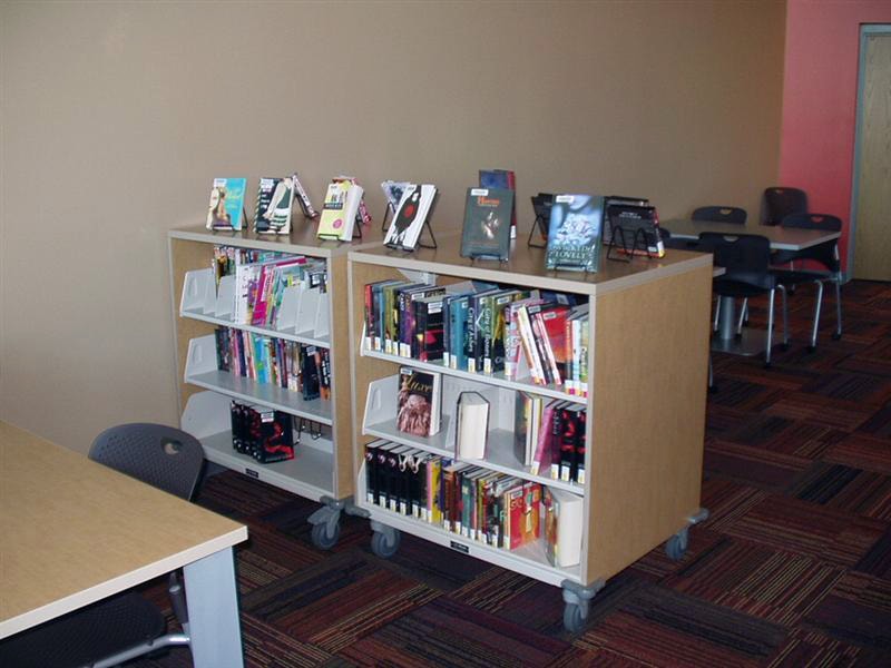 Cantilever shelves library book cases