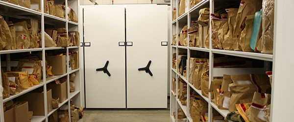 Evidence Storage Shelving