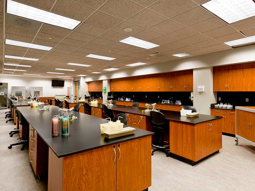 Laminate Cabinets: Commercial Modular Casework | Patterson Pope