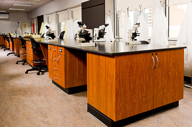 Modular Laminate Cabinets in Learning Lab