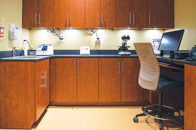 Secure Lab Storage with Laminate Modular Cabinets