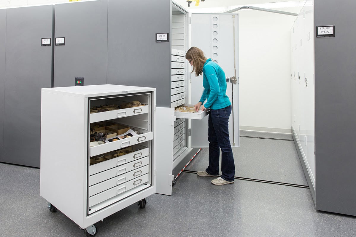 Compact Museum Cabinets and Museum Cart