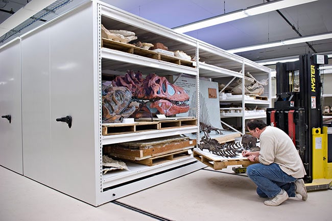 Mechanical-Assist Movable Shelving Storing Museum Artifacts