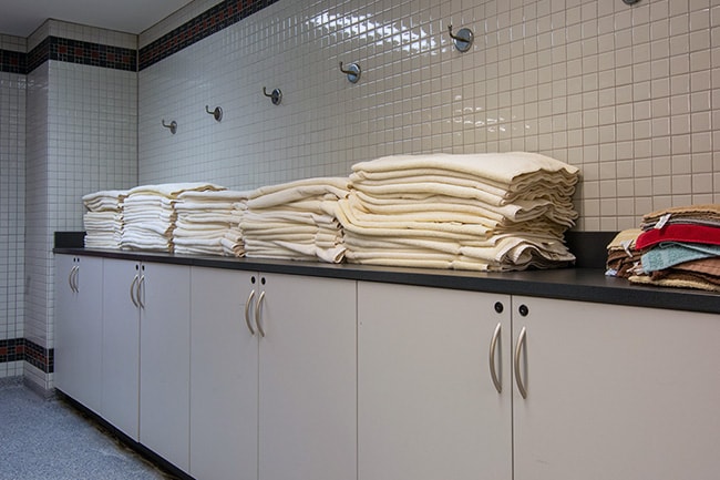 Modular Casework in Baseball Locker Room