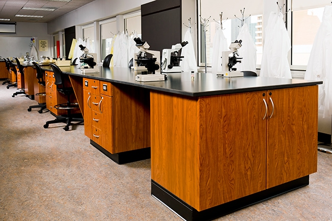 Modular Casework for Labs