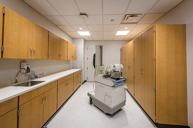 Modular Casework for Patient Floor Storage
