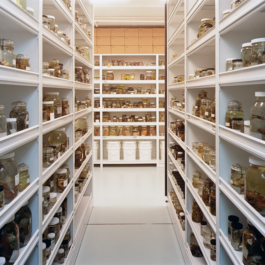 Museum-4-Post-Shelving-Specimen-Jar-Storage
