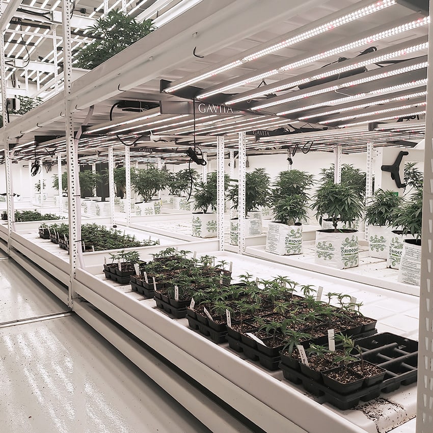 Two-tier--WIde-Span-Shelving-for-Indoor-Farming