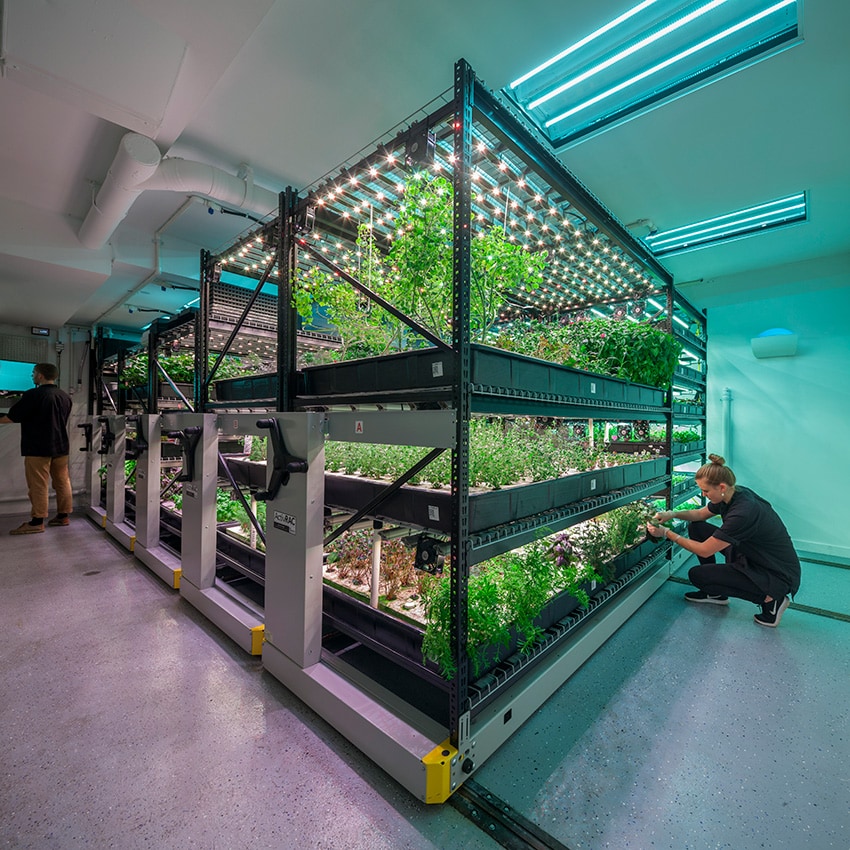 Compact-Storage-for-Hydroponic-Farming