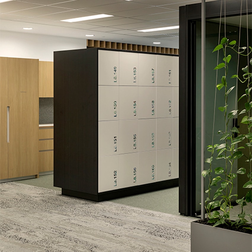 Parcel-Lockers-for-Employees