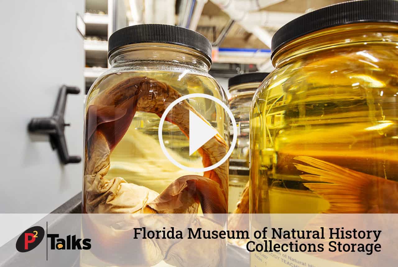 P2 Talks – Florida Museum of Natural History Collections Storage