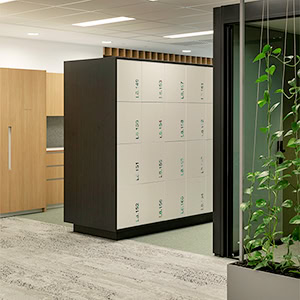 Staff-Breakrooms-and-Storage-Smart-Lockers