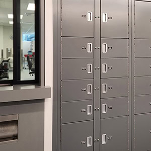 Pass-Thru-Lockers-Disk-Data