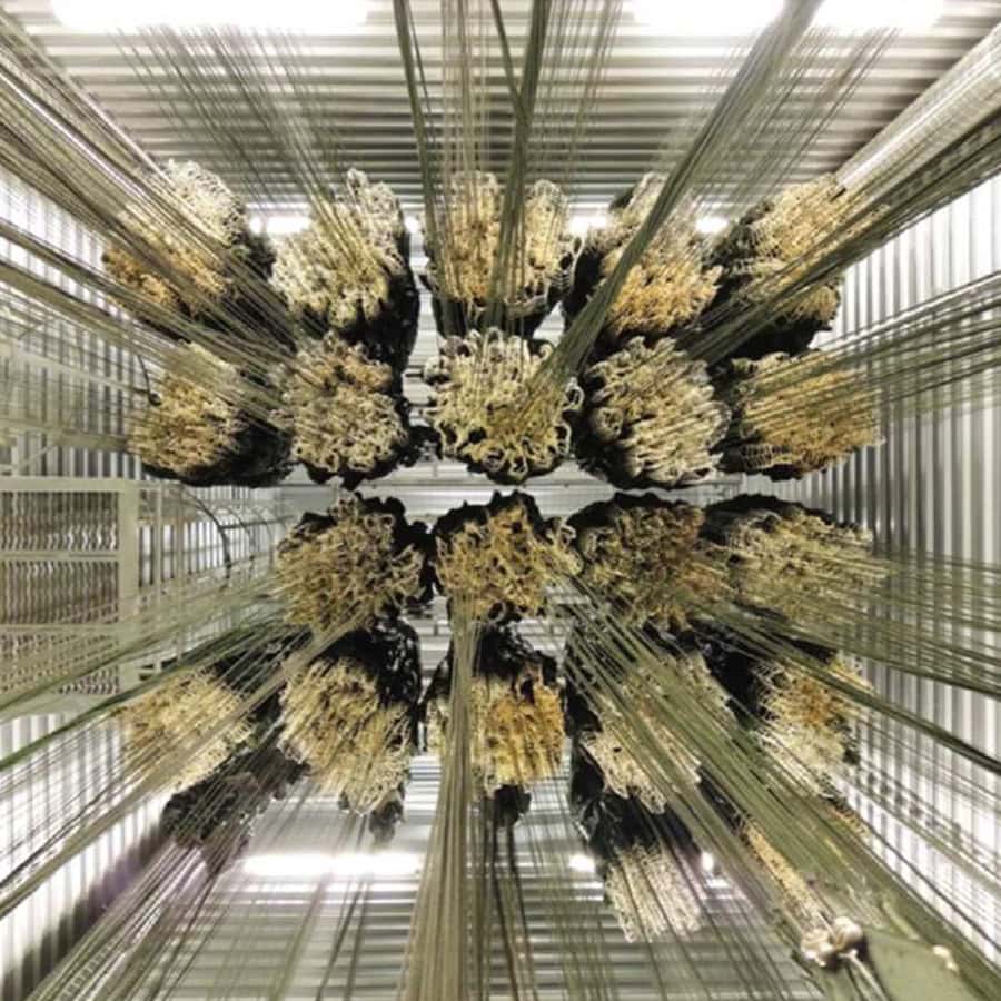 Mobile-Drying-Racks-CD