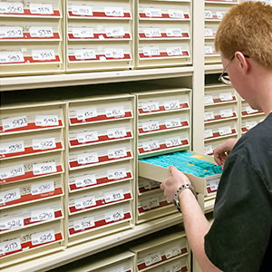 Static-Shelving-For-Biological-Sample-Storage