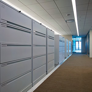 Cabinets-for-Lab-Records