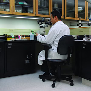 Cabinets-for-Lab-Workstations