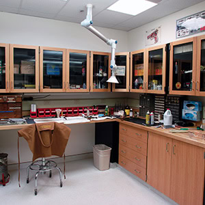 Crime-Lab-Casework
