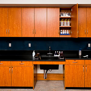 Lab-Casework