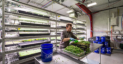 Columbus Artisan Growers Case Study