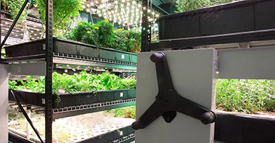 Growing Space Solutions for Urban Indoor Farming